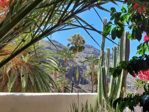 a view of the mountains from a garden with cactus at casa limon, El Guro in Valle Gran Rey