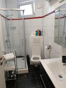 a bathroom with a toilet and a shower and a sink at QM Apartment in Triberg