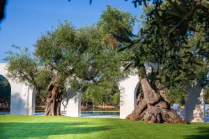 dos árboles en un campo de hierba al lado de un edificio en L'Ulivo Bed and Breakfast, en Savelletri di Fasano