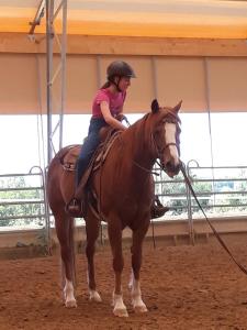 a woman riding a horse in an arena at Ferienwohnung Reh in Bad Rappenau