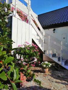 a white house with flowers on the side of it at Zacisze Kalwy in Kalwy