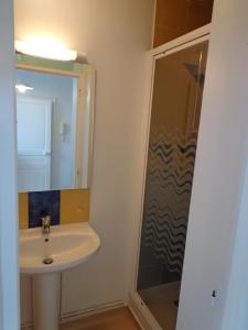 La salle de bains est pourvue d'un lavabo et d'une douche. dans l'établissement Appartement d'Hôtes, à Guéret