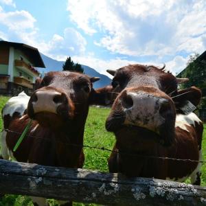 Zdjęcie z galerii obiektu Landhaus Rieser w mieście Bad Hofgastein