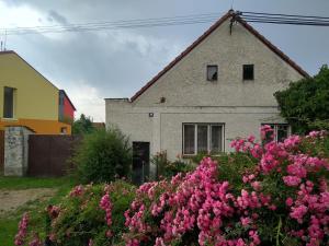 Fotografie z fotogalerie ubytování Na Chalupě u sádky v Novosedlech nad Nežárkou + 16 fotografií