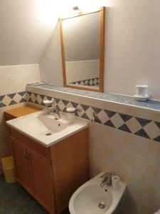 克拉尼斯卡戈拉Apartman Irvin的浴室里有洗手池和镜子 更多37张照片