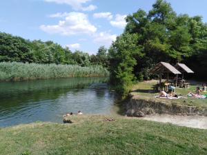 a group of people swimming in a river at Ciconia Nigra rooms in Bački Monoštor