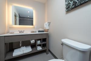 a bathroom with a sink and a toilet and a mirror at voco St Augustine Historic Area, an IHG Hotel in St. Augustine