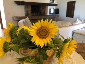 ein Strauß Sonnenblumen in einem Korb auf einem Tisch in der Unterkunft Il Palluccaro in Acquapendente