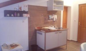 eine kleine Küche mit einer Spüle und einer Theke in der Unterkunft Delfin in Novigrad Istria