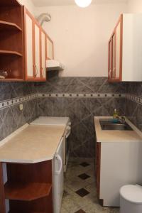 una pequeña cocina con fregadero y encimera en Apartment Pirović, en Turanj