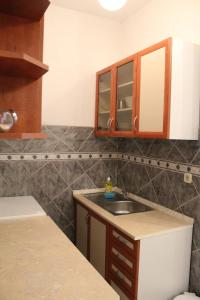 cocina con fregadero y encimera en Apartment Pirović, en Turanj