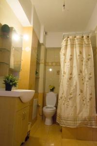 Koupelna v ubytování Minas-Maria House
