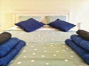 コルマールにあるEM LIFE COLMARの青い枕が付いた大きなベッドのある寝室