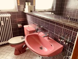 a bathroom with a pink sink and a toilet at Black Forest Apartment in Bad Herrenalb