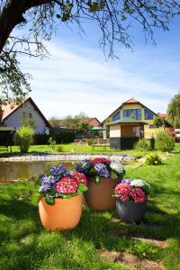 Zahrada ubytování Hotel Strk