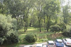 una fila de coches aparcados en un parque con árboles en Fiera Boutique en Bolonia