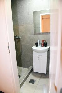 a bathroom with a sink and a shower at Citadela in Sombor