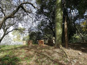 una mesa de picnic en medio de un bosque en La Caballeriza en La Granja