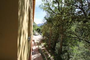 Príroda v okolí hostela