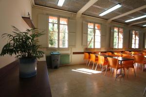 a room with a potted plant and tables and chairs at Alberg Roques Blanques in Ribes de Freser