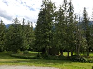 a bench under a tree in a field at The Hitching Post Motel in Pemberton