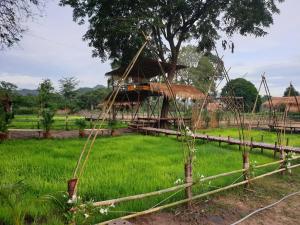 Kaeng Khoi的住宿－蘇帕萊帕薩克度假Spa酒店，草场上有一棵树和一座小屋