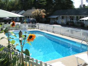 a swimming pool with a blue umbrella in front of a house at Wills Inn - Bartlett in Bartlett