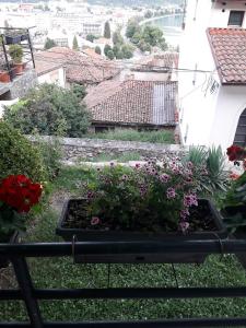 a garden on the balcony of a building with flowers at Bochkar Guest House in Ohrid