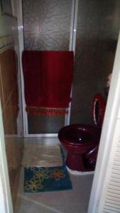 a bathroom with a red toilet and a red towel at Posada green sea villa helen kilometro 4 circumbalar in Buenavista