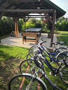 um grupo de bicicletas estacionadas em frente a uma mesa de piquenique em Letnisko nad jeziorem em Skulsk