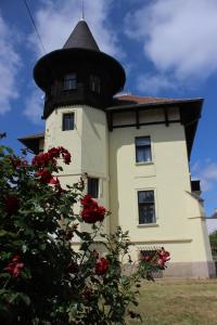 Fotografie z fotogalerie ubytování Penzion Vila E Landisch v destinaci Chomutov