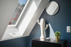 un cactus en una cómoda en una habitación con ventana en Barfot Apartments en Bergen