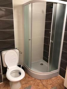 a bathroom with a toilet and a glass shower at Magnific Hotel in Borş