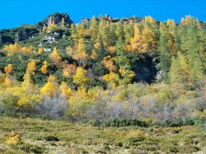 Paesaggio naturale nelle vicinanze dell'affittacamere