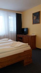 Posteľ alebo postele v izbe v ubytovaní Hotel a Hostinec Tálský mlýn