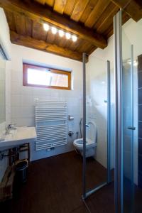 a bathroom with a toilet and a sink at Apartmány Maršíkov in Velké Losiny