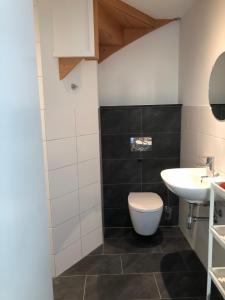 a bathroom with a toilet and a sink at De Schuur in Walem