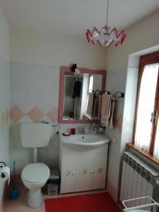 bagno con servizi igienici, lavandino e specchio di Residenza Le Fontane a Ceppo Morelli