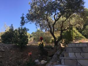 Zahrada ubytování Le Clos en Provence