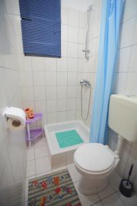 a bathroom with a shower and a toilet and a tub at Fisa Apartments in Vir