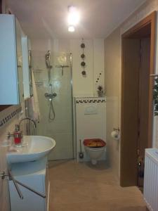 Koupelna v ubytování Große Ferienwohnung auf dem Pferdehof Nähe Bamberg, Coburg, Schweinfurt + 12 fotografií