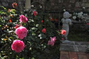 Ein Garten an der Unterkunft Old Town Garden Apartments