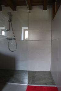 Simonshome في Sarre-Union: دش زجاجي في حمام مع سجادة حمراء