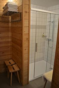 a bathroom with a shower and a toilet and a bench at Hôtel Mélèze B & B in Grimentz