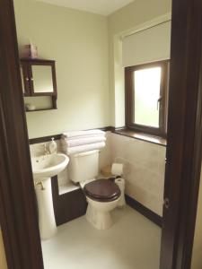 a bathroom with a toilet and a sink and a window at At Last Bed & Breakfast in Edlington