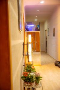 Galeriebild der Unterkunft Wine Hostel in Tbilisi City