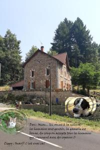 a dog laying on the grass in front of a house at E lu chantauziau in La Monnerie-le Montel