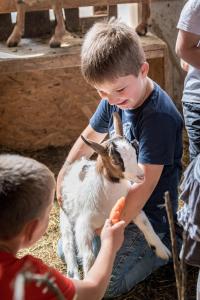 Ferienwohnungen Plattnerhof gyermekkorú vendégei