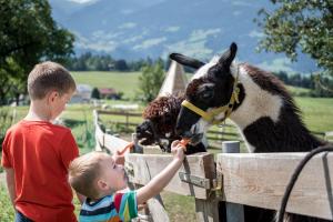 Ferienwohnungen Plattnerhof gyermekkorú vendégei