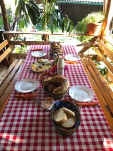 una mesa de picnic con un mantel a cuadros rojo y blanco en Camping Robinson Country Club Oradea, en Oradea